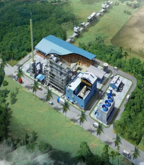 73MW Biomass Fired Power Plant  Central kalimantan Indonesia